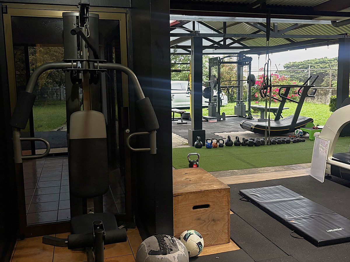 Área interior con multifuerza y vista hacia la zona exterior